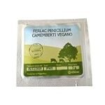 Análisis de los Mejores Quesos Veganos: Descubre Cómo se Hace el Queso Vegano Perfecto