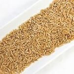 Análisis de los mejores productos veganos con kamut: ¡Descubre dónde comprarlos!