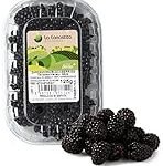 Análisis de los mejores productos veganos con moras: ¡Deliciosamente saludables!