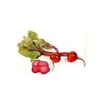 Análisis Comparativo de las Mejores Remolachas Cocidas Envasadas: Opciones Veganas para una Alimentación Saludable Análisis Comparativo de las Mejores Remolachas Cocidas Envasadas: Opciones Veganas para una Alimentación Saludable