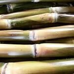 Azúcar de Caña: Dónde Comprar y Comparativa de las Mejores Opciones Veganas