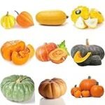 Análisis y comparativa: Las mejores semillas de calabaza veganas para comprar