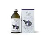 Champiñones para Perros: Análisis y Comparativa de los Mejores Productos Veganos para la Alimentación Canina