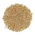 Trigo Grano: Análisis Comparativo de los Mejores Productos Veganos a Base de Trigo