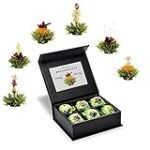 Descubre las Mejores Moon Teas: Análisis y Comparativa de Infusiones Veganas para Tu Bienestar
