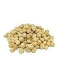 Análisis del Árbol de Nuez de Macadamia: Precio y Comparativa de los Mejores Productos Veganos del Mercado