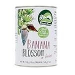 Descubre las Flores de Plátano: Análisis y Comparativa de los Mejores Productos Veganos para Innovar en tu Cocina