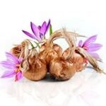 Análisis del Precio del Azafrán por Kilo: Comparativa de las Mejores Alternativas Veganas en el Mercado