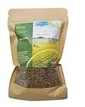 Hoja de Tomillo: Análisis y Comparativa de los Mejores Productos Veganos que la Incorporan