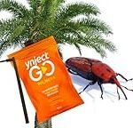 Las Mejores Palmeras Veganas: Análisis y Comparativa de Productos para un Jardín Sostenible