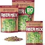 Brotes de Judía Mungo: Recetas irresistibles y comparación de los mejores productos veganos para tu cocina