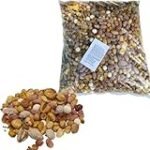 Análisis de los Mejores Fabricantes de Frutos Secos: Comparativa de Productos Veganos Saludables
