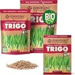 Trigo en Inglés: Comparativa de los Mejores Productos Veganos a Base de Trigo