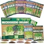 Semillas Ecológicas para Germinar: Comparativa de las Mejores Opciones Veganas del Mercado