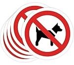 Los Anacardos: Beneficios y Comparativa de Snacks Veganos para Perros
