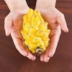Fruta del Dragón: Origen, Beneficios y Comparativa de los Mejores Productos Veganos