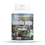 Grosella Negra: Dónde Comprar y Comparativa de los Mejores Productos Veganos del Mercado