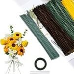 Guía Completa: Cómo Hacer Pipas de Girasol Caseras y Comparativa de las Mejores Opciones Veganas del Mercado