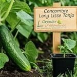 Freír el Pepino: Análisis y Comparación de los Mejores Productos Veganos para Innovar en tu Cocina