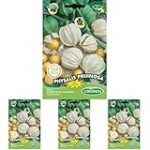 Physalis No Comestible: Análisis y Comparación de Productos Veganos que Potencian tu Salud Sin Riesgos