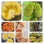 Descubriendo la Yaca en España: Análisis y Comparativa de los Mejores Productos Veganos a Base de este Sostenible Alimento