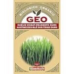 Análisis de Germinados de Trigo: Comparativa de los Mejores Productos Veganos para una Alimentación Saludable