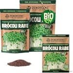 Brócoli y Proteína: Análisis Comparativo de los Mejores Suplementos Veganos para Aumentar tu Ingesta Proteica Brócoli y Proteína: Análisis Comparativo de los Mejores Suplementos Veganos para Aumentar tu Ingesta Proteica