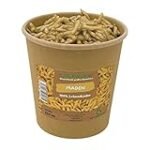 Alternativas Veganas a los Gusanos de Carne: Análisis y Comparación de Productos Sustitutos Sostenibles Alternativas Veganas a los Gusanos de Carne: Análisis y Comparación de Productos Sustitutos Sostenibles