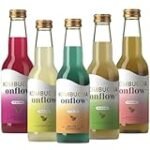 Análisis de Fritz Limo: La Mejor Opción Vegana en Bebidas Refrescantes