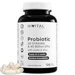 Los Mejores Probióticos Veganos: Análisis y Comparativa de Productos para una Salud Digestiva Óptima Los Mejores Probióticos Veganos: Análisis y Comparativa de Productos para una Salud Digestiva Óptima