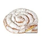 Comparativa de las Mejores Ensaimadas de Crema Veganas: Sabor y Calidad en Cada Bocado