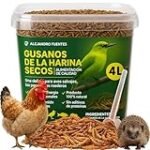 Comparativa de Productos Veganos: ¿Gusanos Jamón, la Nueva Sensación en la Alimentación Plant-Based? Comparativa de Productos Veganos: ¿Gusanos Jamón, la Nueva Sensación en la Alimentación Plant-Based?