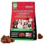 Los Mejores Productos Veganos con Arándano para tu Perro: Análisis y Comparativa