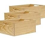 Envios 24h: Compara y Descubre los Mejores Productos Veganos a un Clic de Distancia Envios 24h: Compara y Descubre los Mejores Productos Veganos a un Clic de Distancia