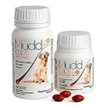 Descubre Mugi Online: Análisis y Comparativa de los Mejores Productos Veganos del Mercado