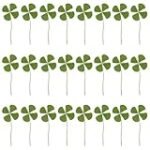 Trébol 36 Alcantarilla: Análisis y Comparativa de los Mejores Productos Veganos en el Mercado Trébol 36 Alcantarilla: Análisis y Comparativa de los Mejores Productos Veganos en el Mercado