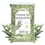Comparativa de Infusiones de Eucalipto: Descubre las Mejores Opciones Veganas para Tu Bienestar Comparativa de Infusiones de Eucalipto: Descubre las Mejores Opciones Veganas para Tu Bienestar