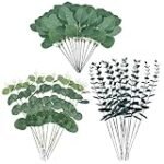 Descubre los Beneficios del Eucalipto: Análisis de los Mejores Productos Veganos con Extracto de Hoja de Eucalipto Descubre los Beneficios del Eucalipto: Análisis de los Mejores Productos Veganos con Extracto de Hoja de Eucalipto