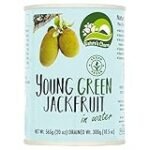 Análisis del Jack Fruit: El Rey de las Frutas en la Cocina Vegana y Comparativa de los Mejores Productos a Base de Él Análisis del Jack Fruit: El Rey de las Frutas en la Cocina Vegana y Comparativa de los Mejores Productos a Base de Él